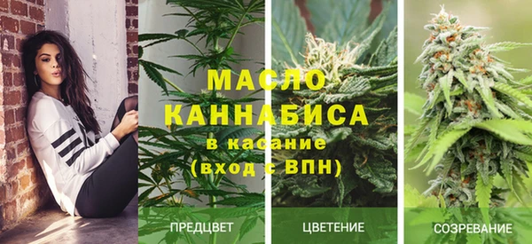 ПСИЛОЦИБИНОВЫЕ ГРИБЫ Костерёво