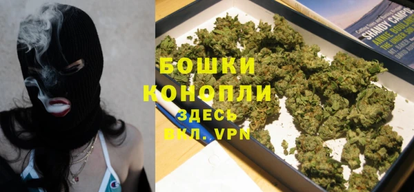 ПСИЛОЦИБИНОВЫЕ ГРИБЫ Костерёво