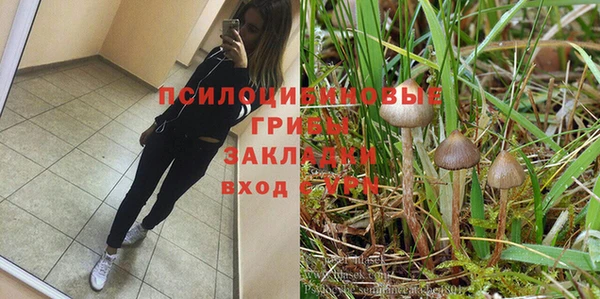ПСИЛОЦИБИНОВЫЕ ГРИБЫ Костерёво