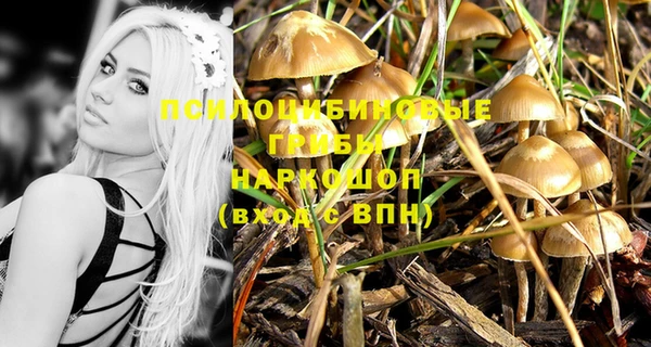 ПСИЛОЦИБИНОВЫЕ ГРИБЫ Костерёво