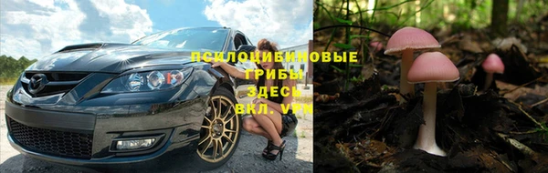 ПСИЛОЦИБИНОВЫЕ ГРИБЫ Костерёво