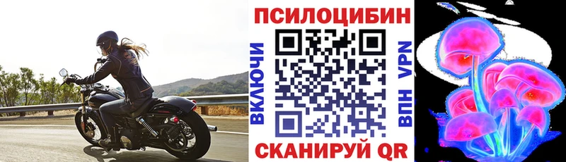 Галлюциногенные грибы прущие грибы  Купить закладки  Волхов 