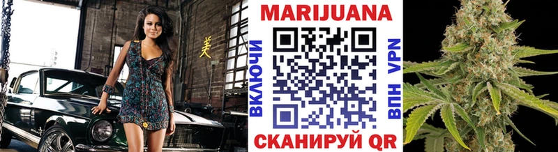 Шишки марихуана марихуана  Купить где  Волхов 